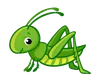 Green Hopper English のバッタ